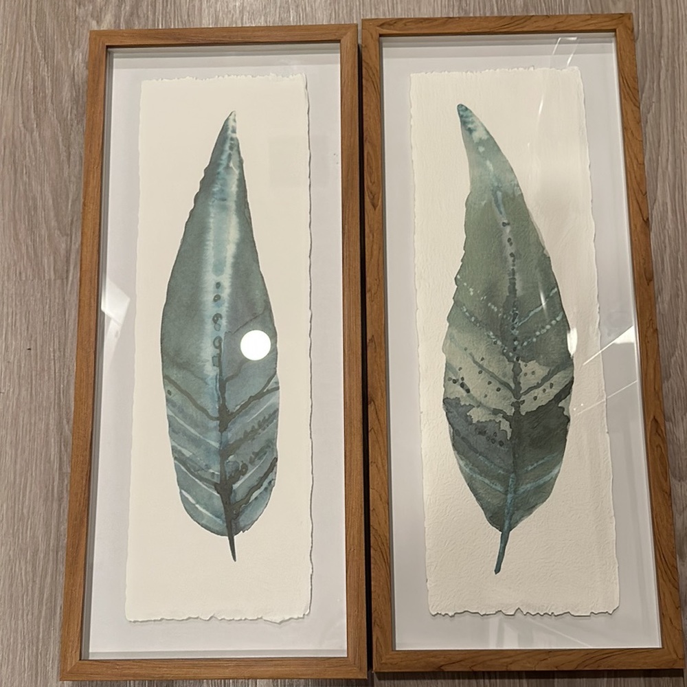 Leaf framed prints